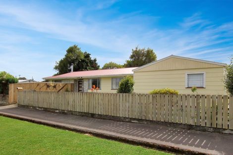 Photo of property in 17 Kiwi Street, Pahiatua, 4910