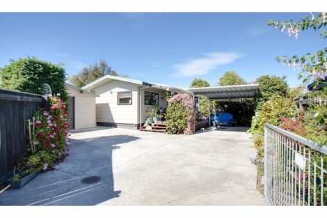 Photo of property in 1010b Rata Street, Mahora, Hastings, 4120