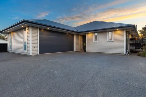 Photo of property in 223 Bower Avenue, North New Brighton, Christchurch, 8083