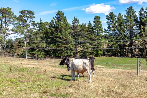 Photo of property in 1156 Old Te Aroha Road, Okauia, Matamata, 3471