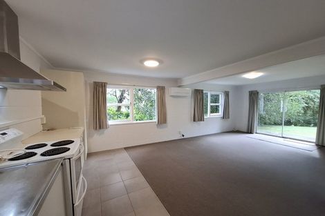 Photo of property in 20 Nutsey Avenue, Northcote, Auckland, 0627