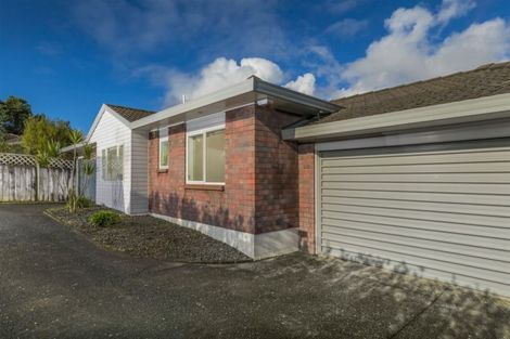 Photo of property in 75 Edmonton Road, Henderson, Auckland, 0612
