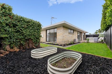 Photo of property in 96b Chapel Street, Otumoetai, Tauranga, 3110