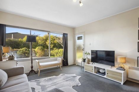 Photo of property in 19a Sheen Street, Roslyn, Dunedin, 9010