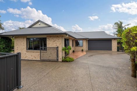 Photo of property in 8 Arthur Carwen Place, Pukekohe, 2120