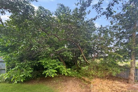 Photo of property in 55 Rata Road, Twizel, 7901