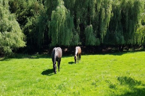 Photo of property in 114 Veritys Road, Maungati, Cave, 7984