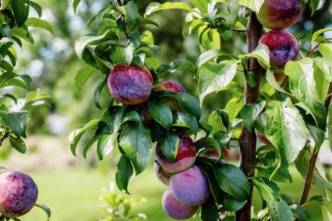 Photo of property in 1 Owen Road, Kawerau, 3127