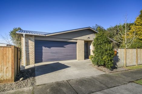 Photo of property in 121 Wyndham Street, Ashhurst, 4810