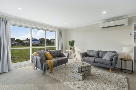 Photo of property in 80 Hinemoa Street, Levin, 5510