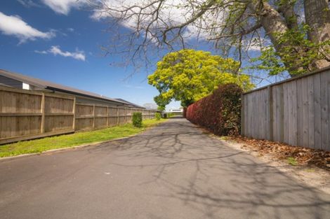 Photo of property in 91 Carmichael Road, Bethlehem, Tauranga, 3110