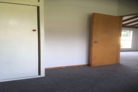 Photo of property in 28b Manchester Street, Bradford, Dunedin, 9011