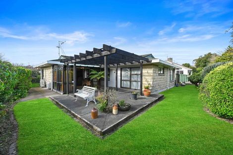 Photo of property in 28 Mcmeekan Avenue, Chartwell, Hamilton, 3210