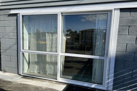 Photo of property in 127 Exmouth Road, Northcote, Auckland, 0627