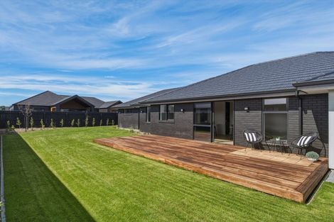Photo of property in 7 Bond Street, Springlands, Blenheim, 7201