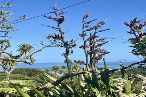 Photo of property in 15 Piha Road, Piha, New Lynn, 0772