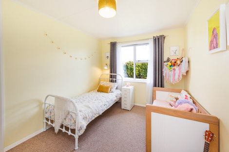 Photo of property in 29 Elizabeth Street, Feilding, 4702