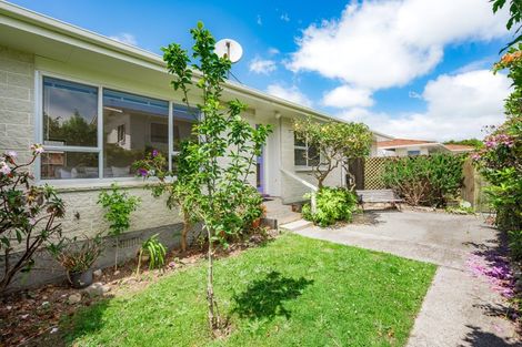 Photo of property in 38 Matai Street, Waikanae, 5036