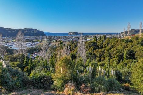 Photo of property in 113 Te Pamahue Drive, Whangamata, 3620