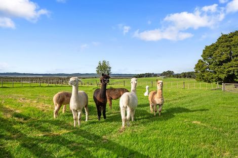 Photo of property in 68d Tuparekura Road, South Head, Helensville, 0874