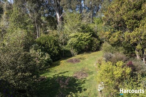 Photo of property in 1742 Motueka River West Bank Road, Motueka Valley, Motueka, 7196