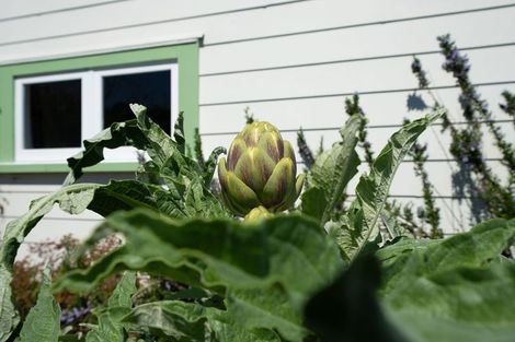 Photo of property in 45 George Street, Hikurangi, 0114