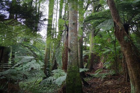 Photo of property in 4 Linthorpe Place, Hillcrest, Hamilton, 3216