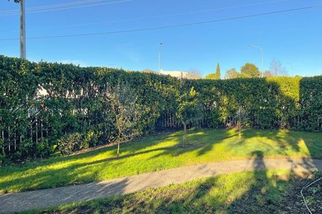 Photo of property in 71 West Street, Pukekohe, 2120