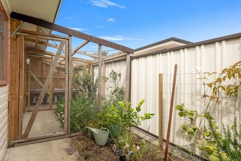 Photo of property in 11a Tui Street, Whakatane, 3120