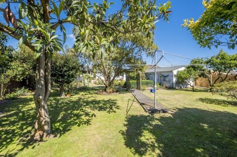 Photo of property in 52 Trafalgar Street, Levin, 5510