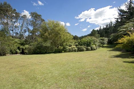 Photo of property in 449 Poripori Road, Lower Kaimai, Tauranga, 3171