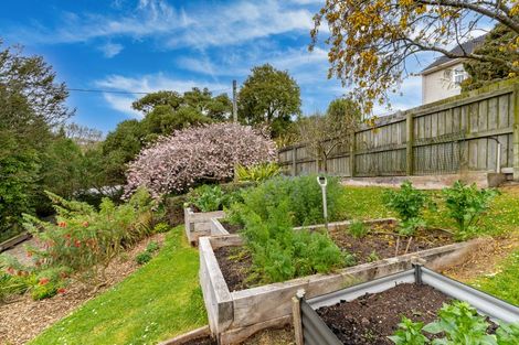 Photo of property in 59 Aotea Street, Tainui, Dunedin, 9013