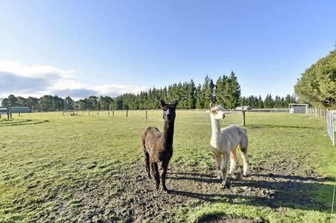 Photo of property in 194 Fishers Road, Loburn, Rangiora, 7473