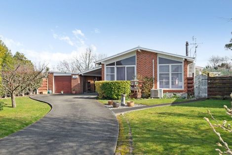 Photo of property in 4 Mabson Terrace, Masterton, 5810