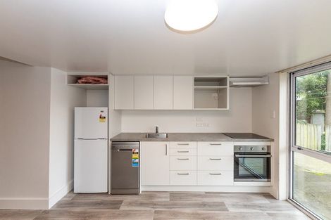 Photo of property in 312a Stuart Street, Dunedin Central, Dunedin, 9016