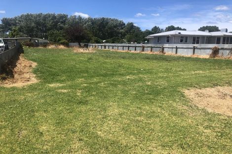 Photo of property in 133 Apatu Street, Wairoa, 4108