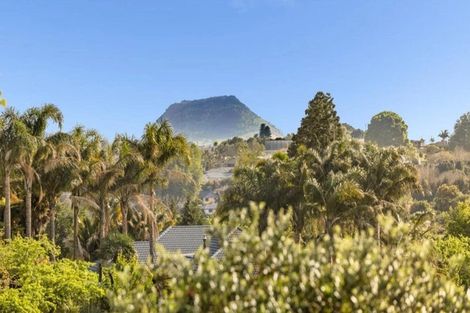 Photo of property in 337 Cambridge Road, Tauriko, Tauranga, 3110
