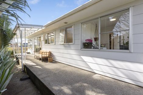 Photo of property in 19 Carey Street, Waitara, 4320