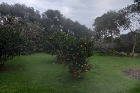 Photo of property in 277 Kuaotunu Wharekaho Road, Kuaotunu, Whitianga, 3592
