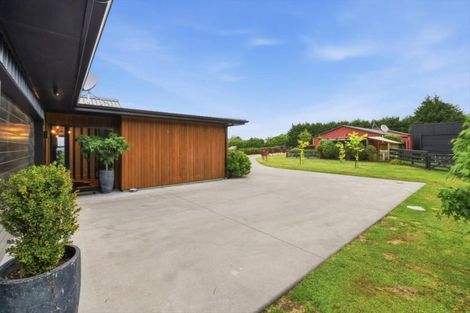 Photo of property in 38 Shaw Road, Te Ranga, Te Puke, 3182