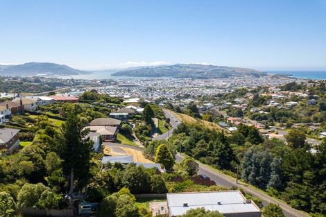 Photo of property in 116 Sidey Street, Calton Hill, Dunedin, 9012