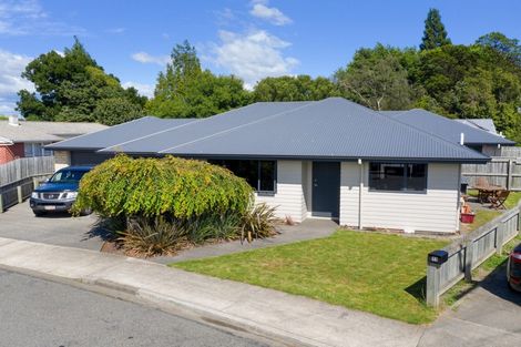 Photo of property in 9 Gardiner Street, Riversdale, Blenheim, 7201