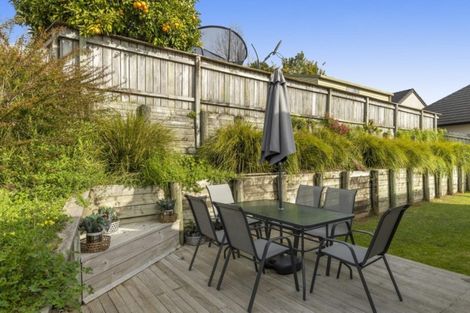 Photo of property in 13b Winiata Street, Brookfield, Tauranga, 3110