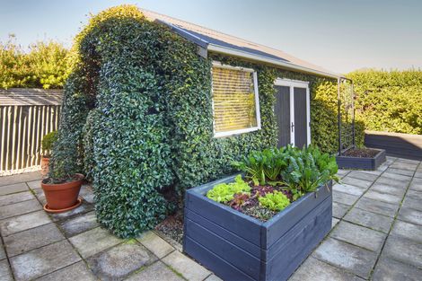 Photo of property in 87 Renall Street, Masterton, 5810