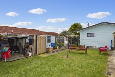 Photo of property in 13 Douglas Street, Levin, 5510