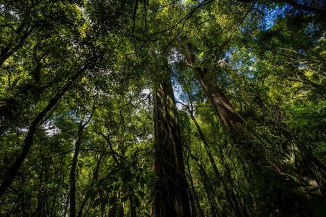 Photo of property in 185 Kanuka Rise, Wakapuaka, Nelson, 7071