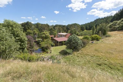 Photo of property in 449 Poripori Road, Lower Kaimai, Tauranga, 3171