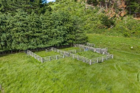 Photo of property in 3366 Waihopai Valley Road, Waihopai Valley, Blenheim, 7276