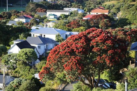 Photo of property in 47 Melbourne Road, Island Bay, Wellington, 6023