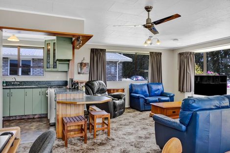 Photo of property in 13 Flint Road West, Stratford, 4332